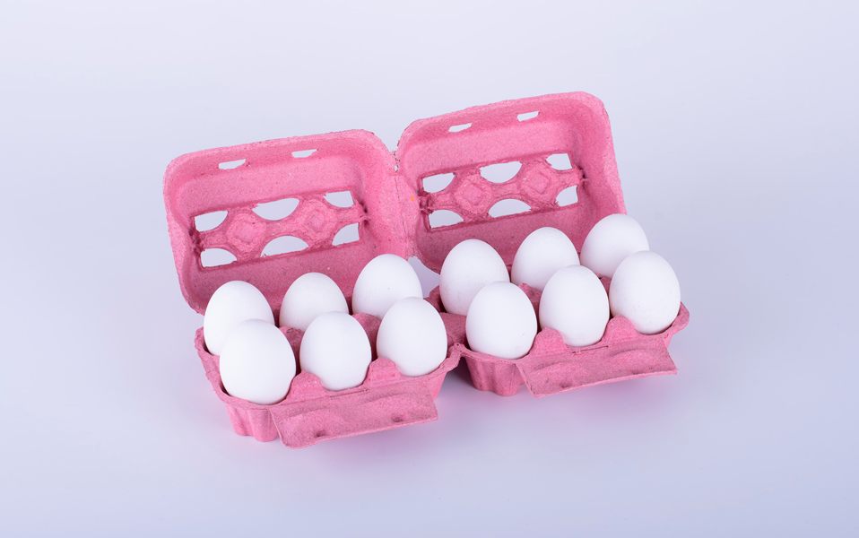 Estuches E4912S