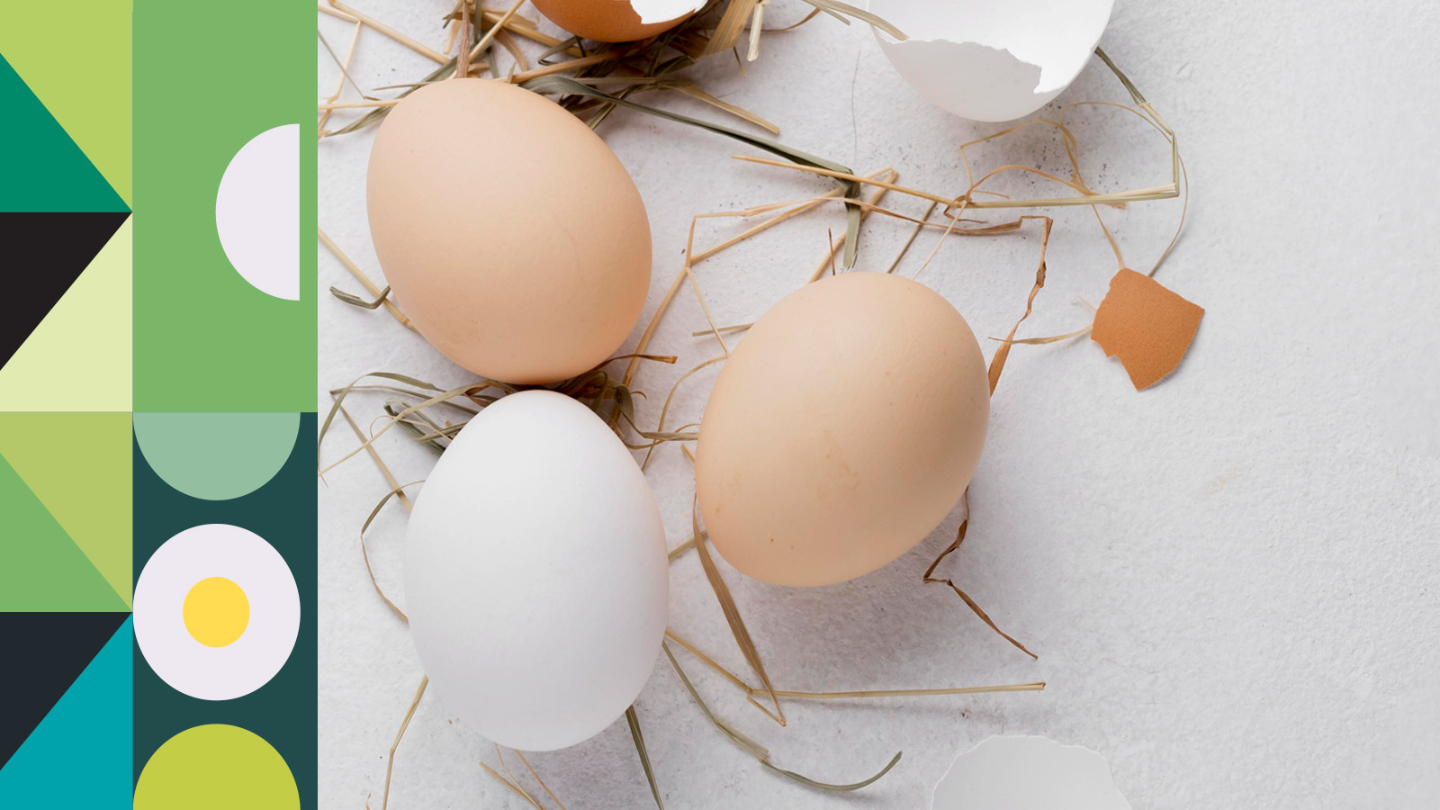 La importancia de respetar el tamaño del huevo en cada tipo de envase